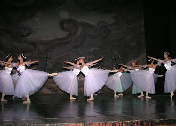 Etiam scelerisque, nunc ac egestas consequat