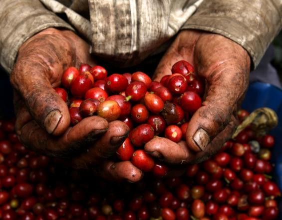 El presidente Juan Manuel Santos afirmó que este martes expedirá un decreto para escoger la terna de la que saldrá el nuevo fiscal general, que reemplazará a Eduardo Montealegre.