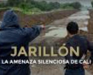 JARILLÓN LA AMENAZA SILENCIOSA DE CALI